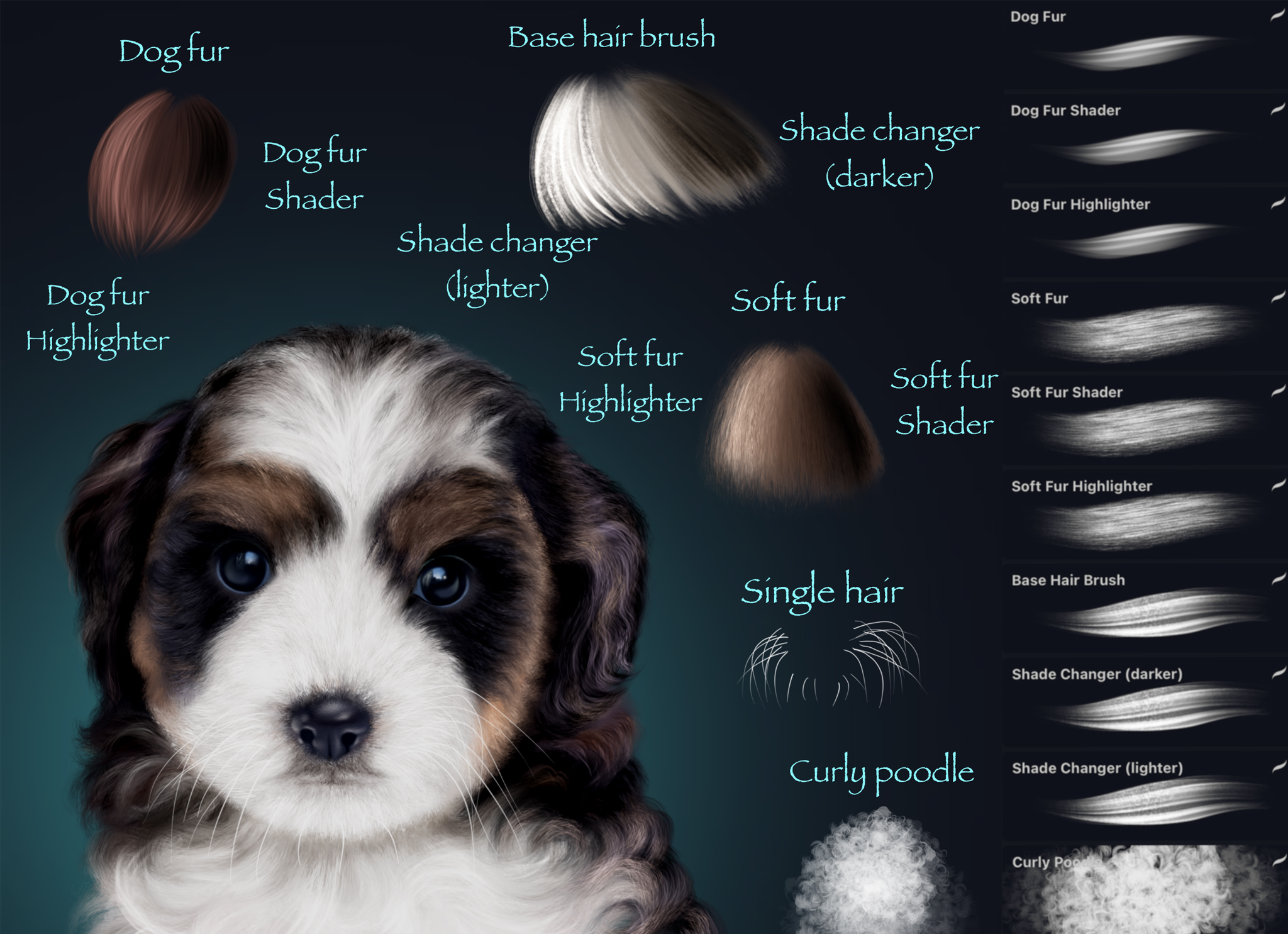 Fur Hair Procreate Brushes Graphicsbunker