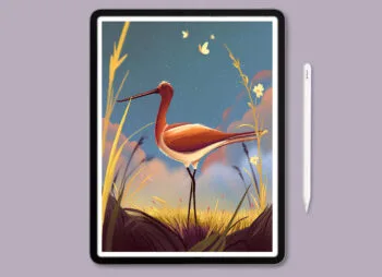 Landscape Avocet Drawing Tutorial