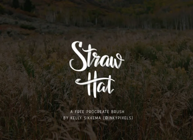 Straw Hat Procreate Brush