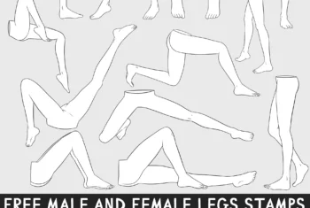 Legs Stamps Procreate Brushes