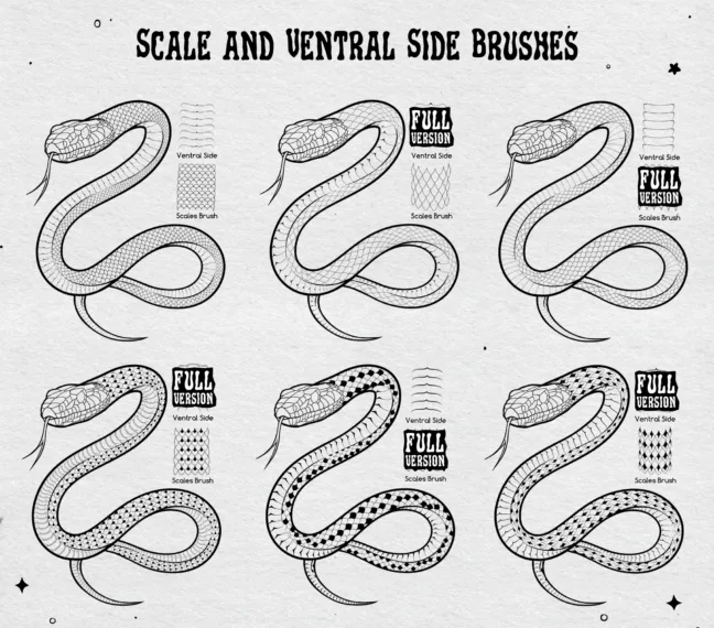 snake brushes for procreate 2a - Snake Brushes for Procreate