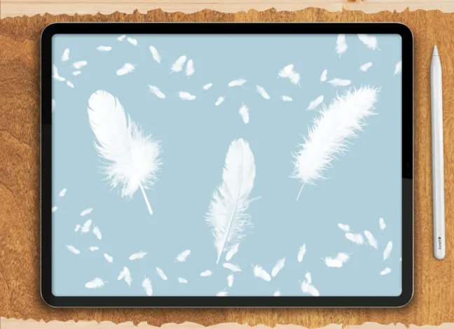 Elegant Feather Brushes for Procreate